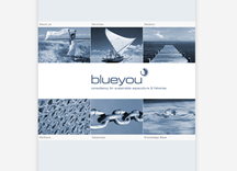 Blueyou AG preview